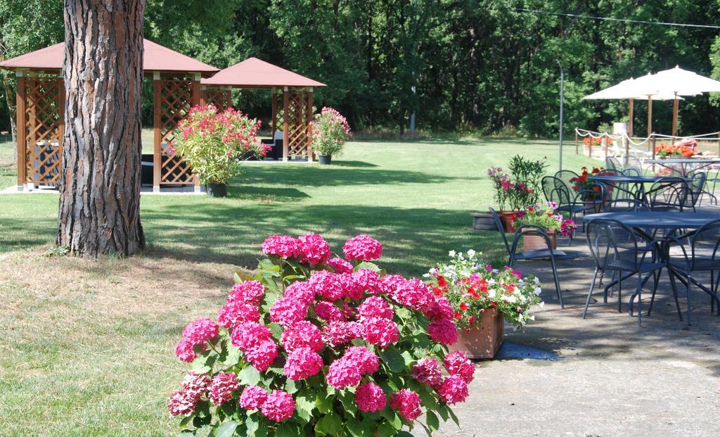 Agriturismo Antica Riserva Castiglione del Lago Exterior photo